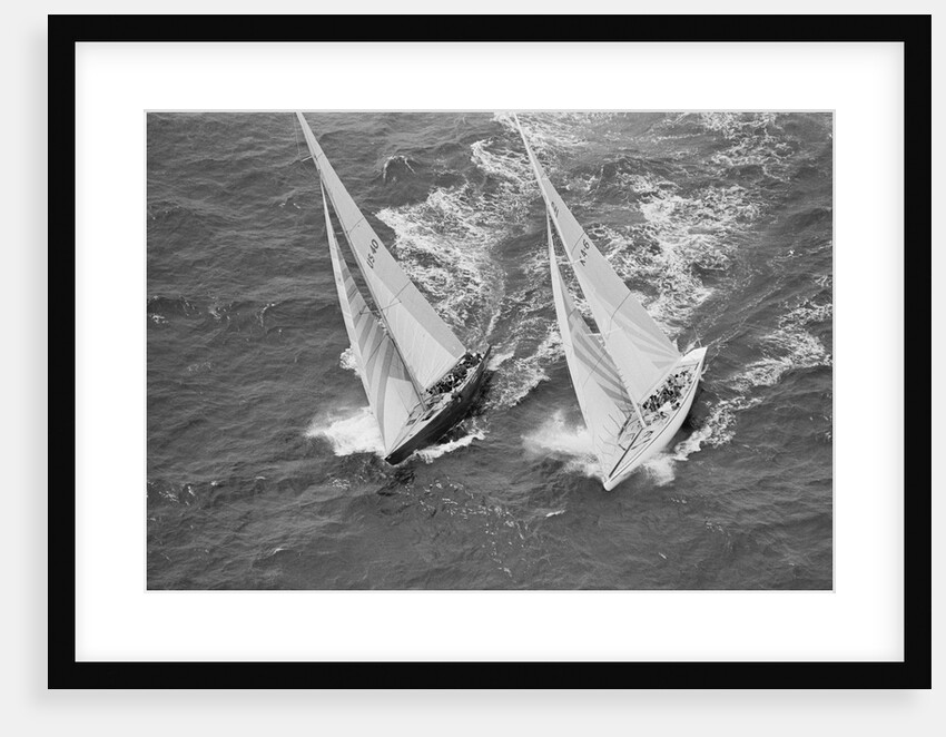 America's Cup Competitors by Anonymous