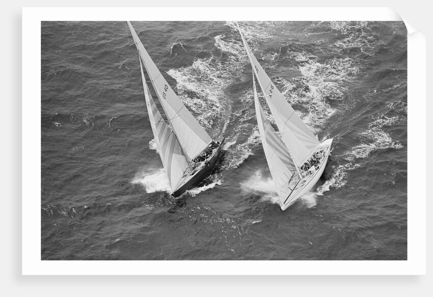 America's Cup Competitors by Anonymous