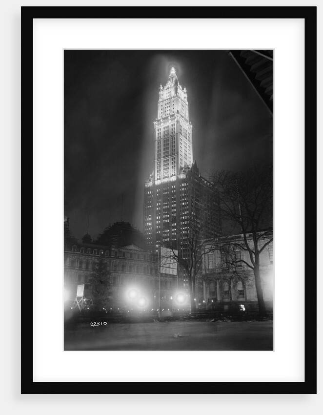 The Woolworth Building by Anonymous