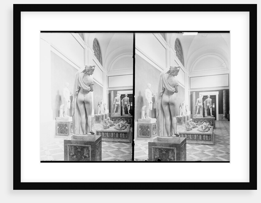 Aphrodite Callipygos and Other Statues in the Museo Archeologico Nazionale in Naples, Italy by Anonymous