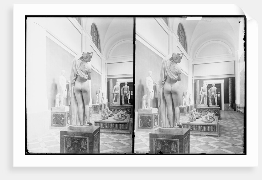 Aphrodite Callipygos and Other Statues in the Museo Archeologico Nazionale in Naples, Italy by Anonymous