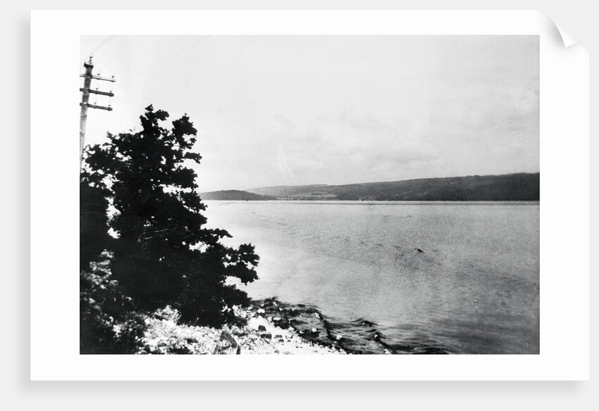Alleged Image of Loch Ness Monster by Anonymous