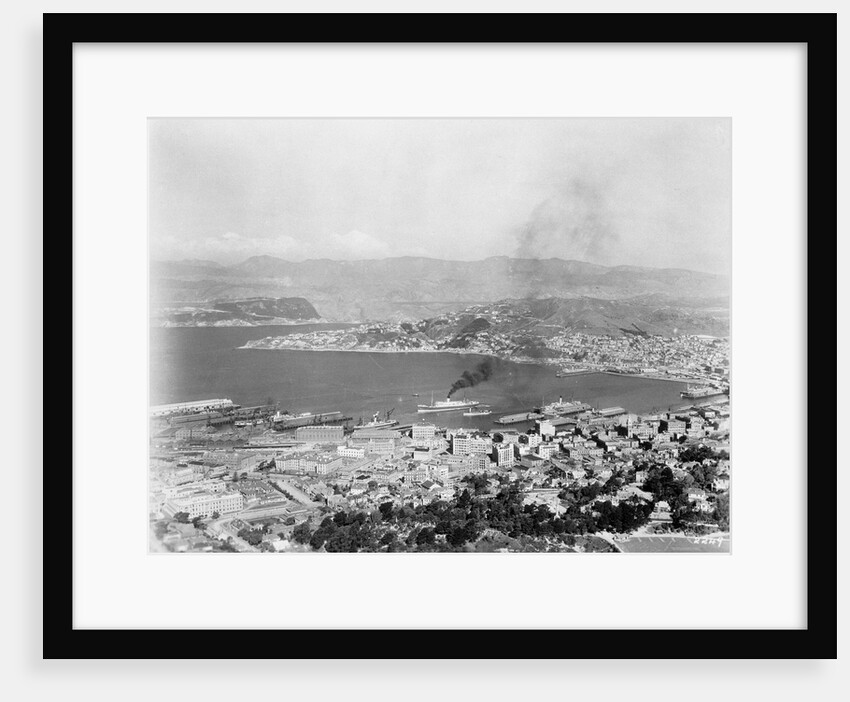 Harbor at Wellington of New Zealand by Anonymous