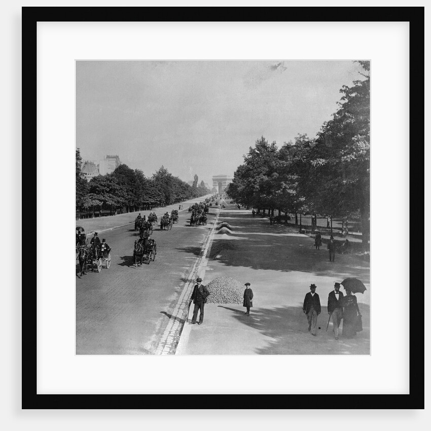 Famous Bois De Boulogne by Anonymous