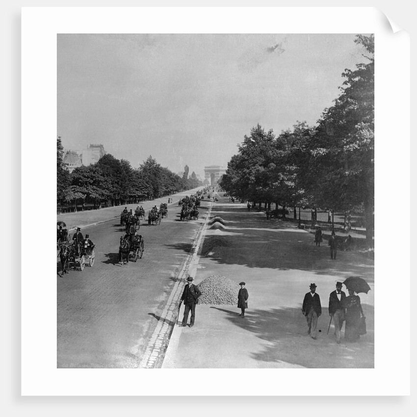Famous Bois De Boulogne by Anonymous