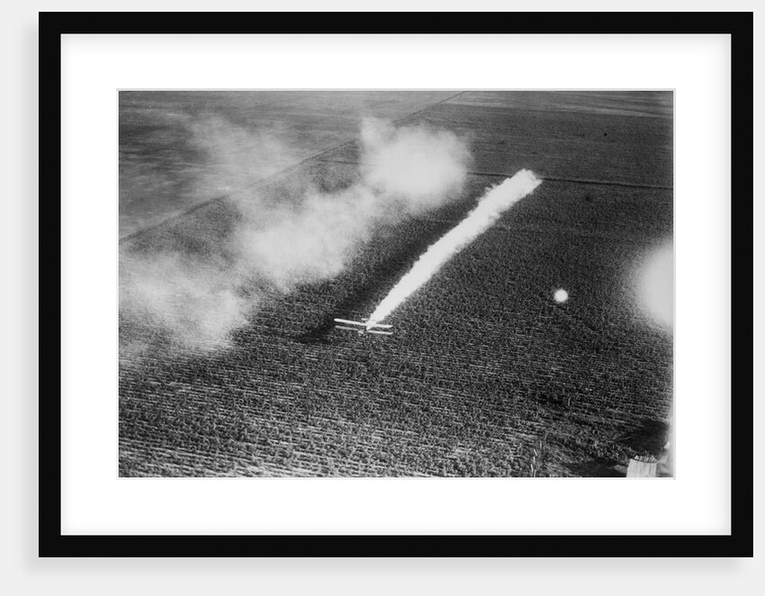 Plane Crop-Dusting a Field by Anonymous