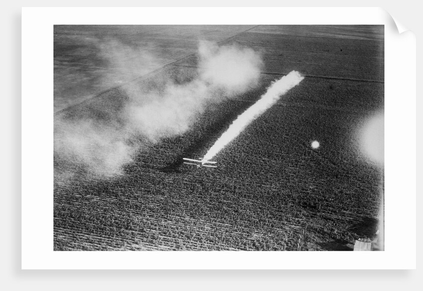 Plane Crop-Dusting a Field by Anonymous
