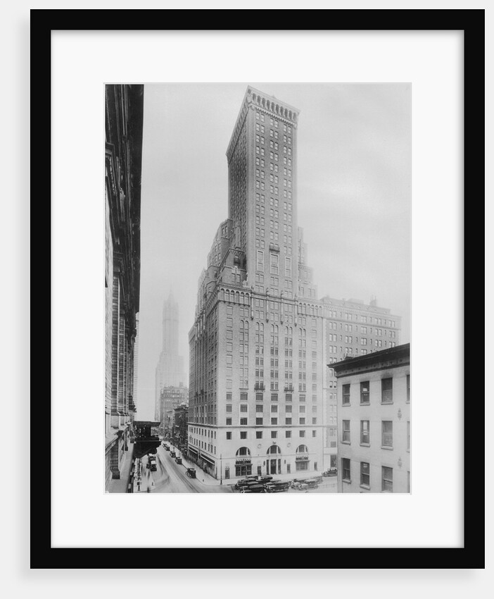 Exterior View of the Hotel Delmonico by Anonymous