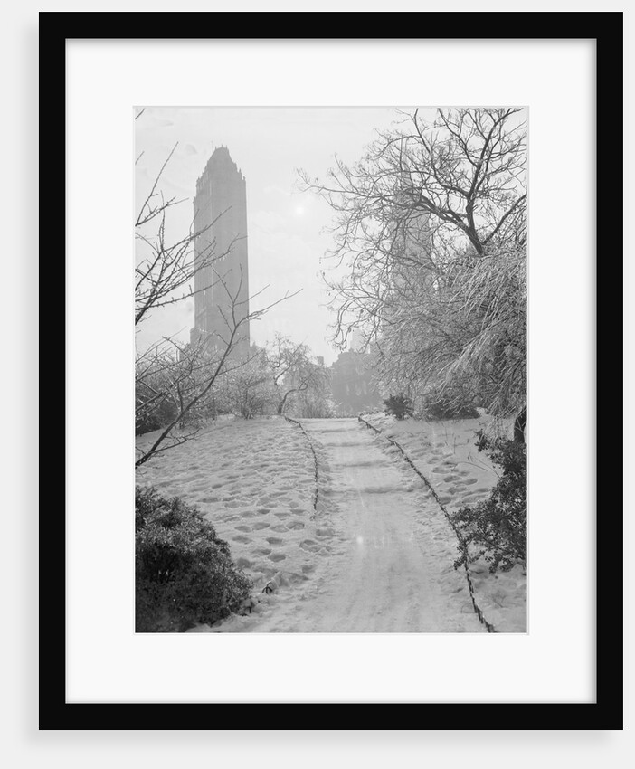 Central Park Views by Anonymous
