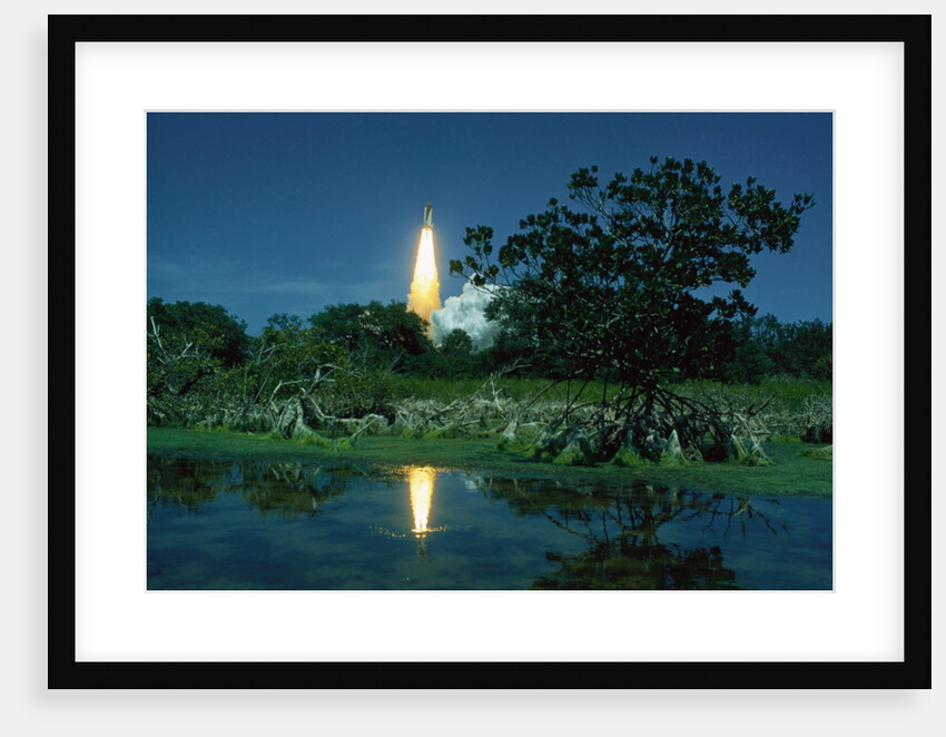 Space Shuttle Challenger Launching by Anonymous