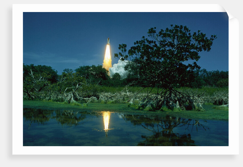 Space Shuttle Challenger Launching by Anonymous