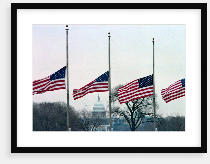 Washington Flags at Half-staff by Anonymous