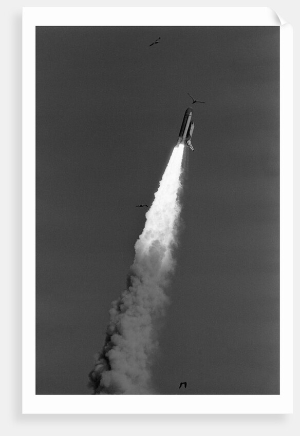Challenger Space Shuttle Lifting Off by Anonymous