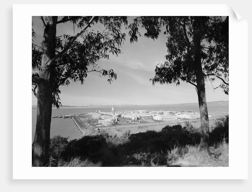 Distant View of San Francisco Through Tree Line by Anonymous