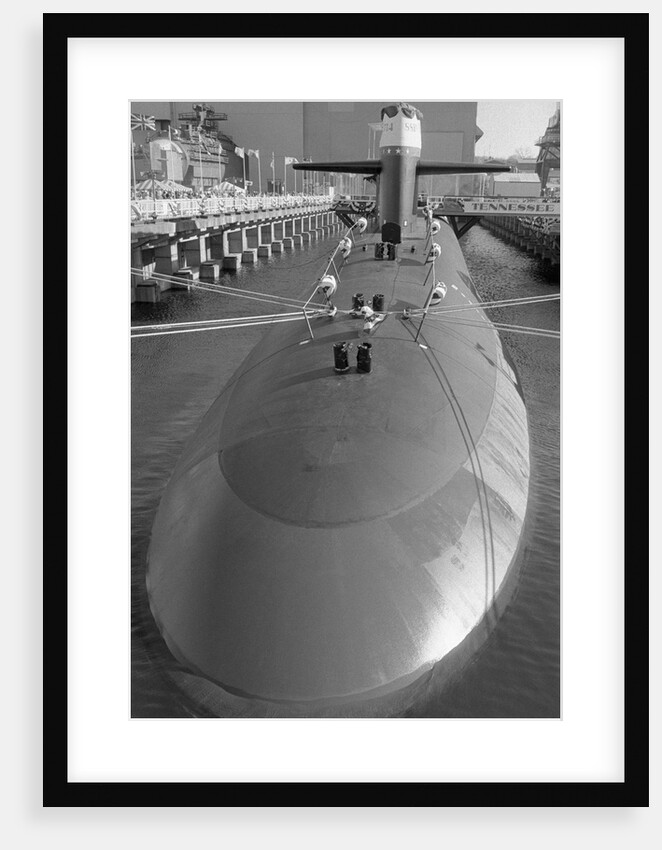 Portrait of The Trident Ballistic Missile by Anonymous