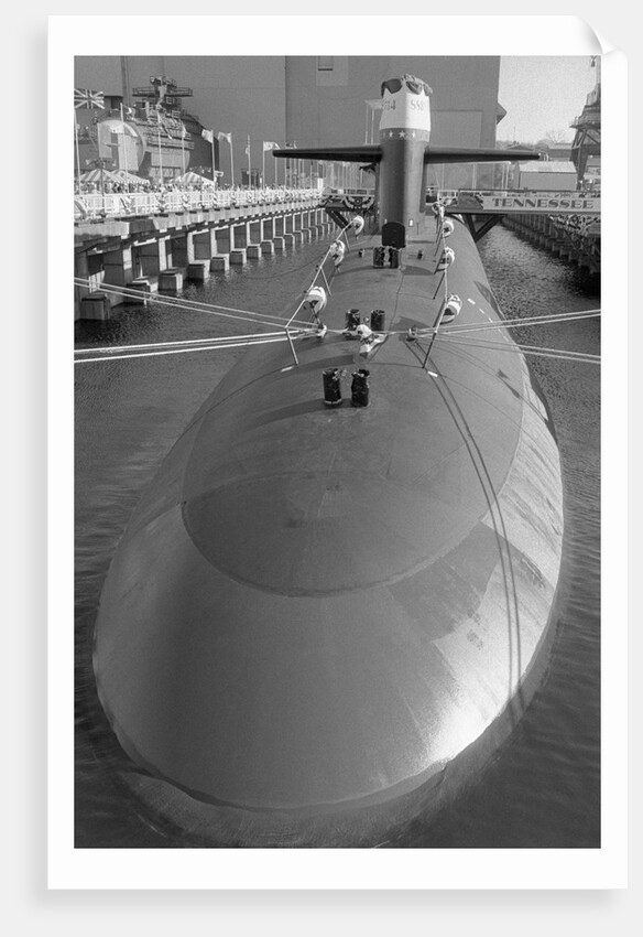 Portrait of The Trident Ballistic Missile by Anonymous
