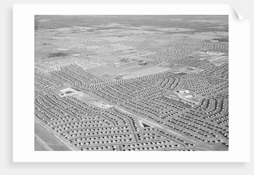 New York Suburb of Levittown by Anonymous