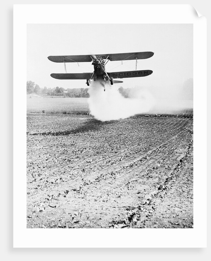 Bi-Plane Dusting Field with Pesticides by Anonymous