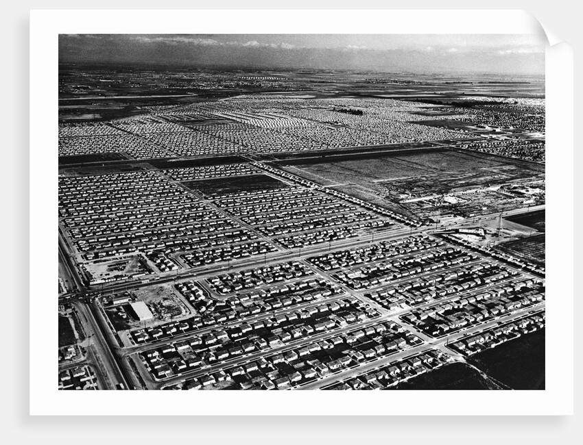 Lakewood Housing Development by Anonymous