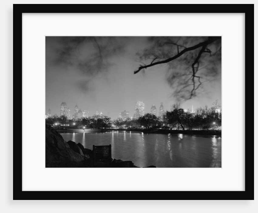 View in Central Park by Anonymous