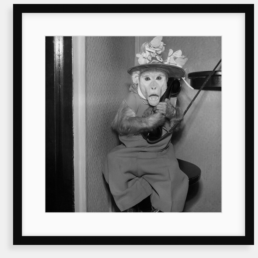 Monkey Talking on the Telephone by Anonymous