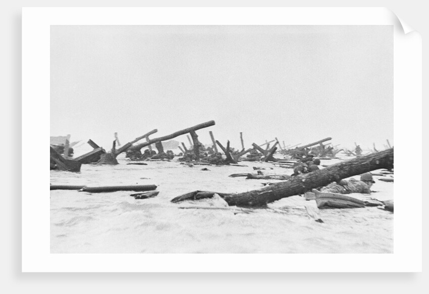 Invaders on Omaha Beach by Anonymous