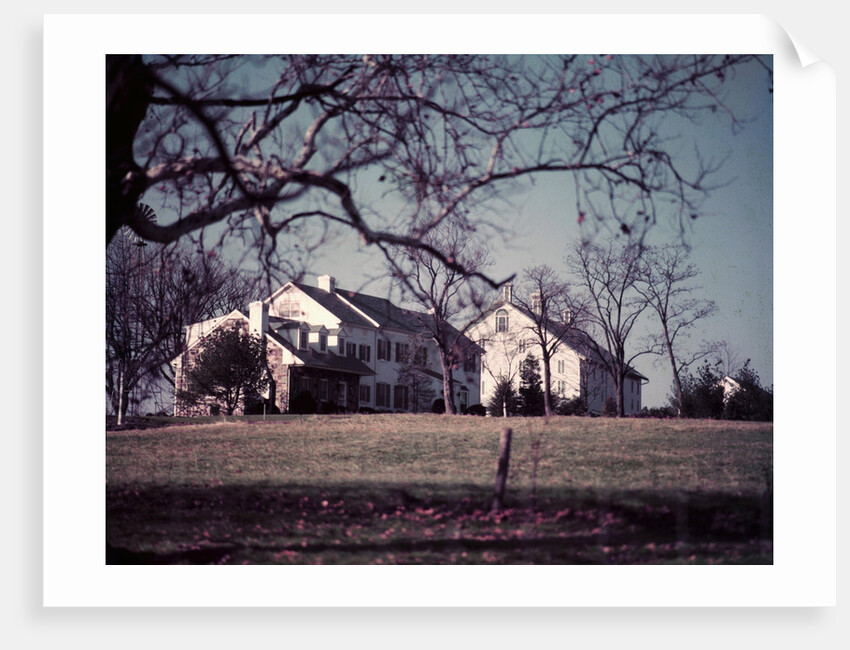 President Dwight D. Eisenhower by Anonymous