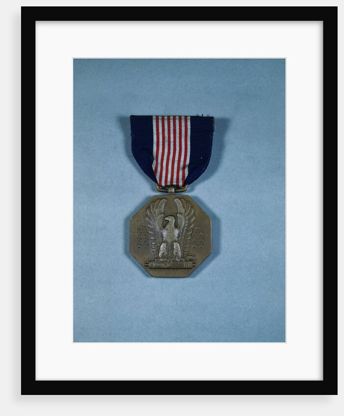 Soldier's Medal for Heroism by Anonymous