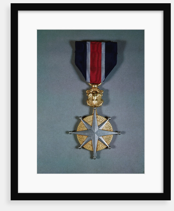 Merchant Marine Distinguished Service by Anonymous