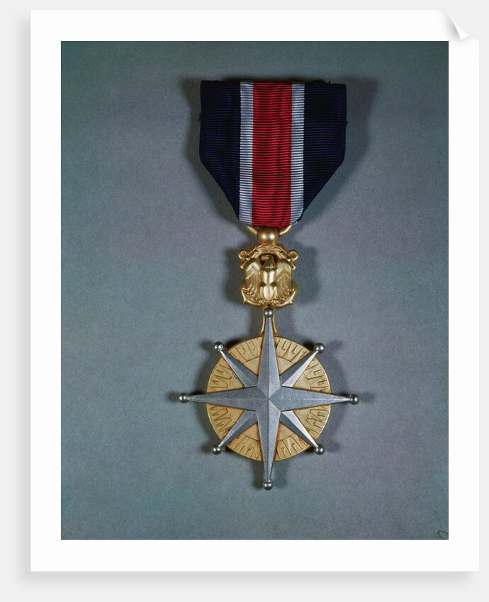 Merchant Marine Distinguished Service by Anonymous
