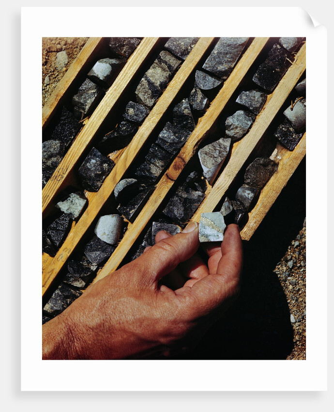 Container of Mineral Deposits Being Examined by Anonymous