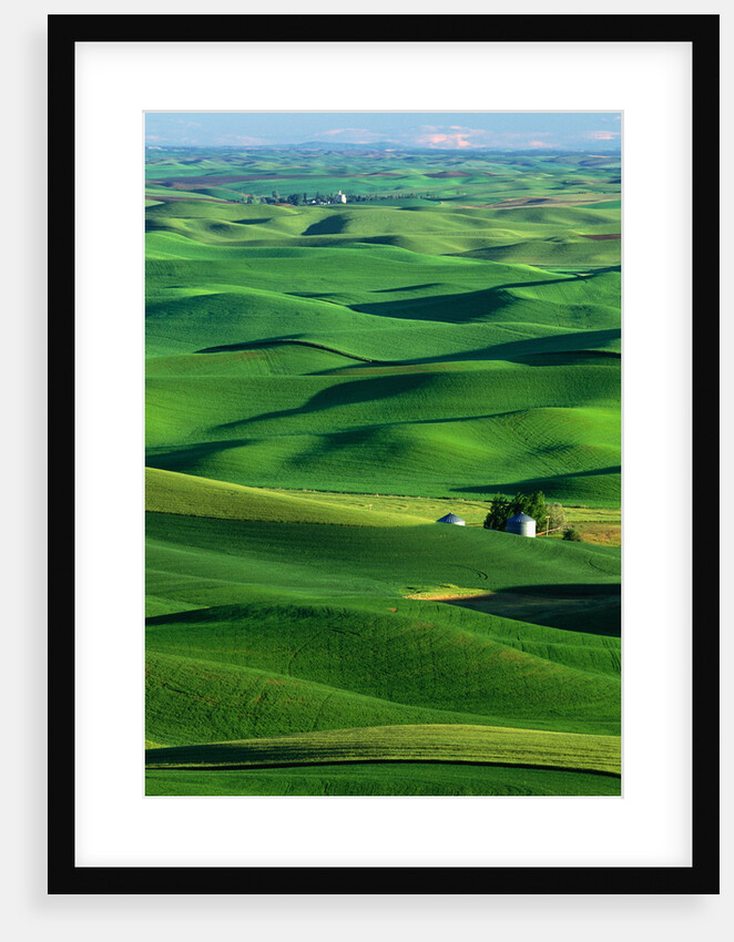 Palouse Hills by Anonymous