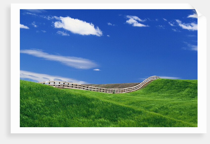 Wheat Field and Fence by Anonymous