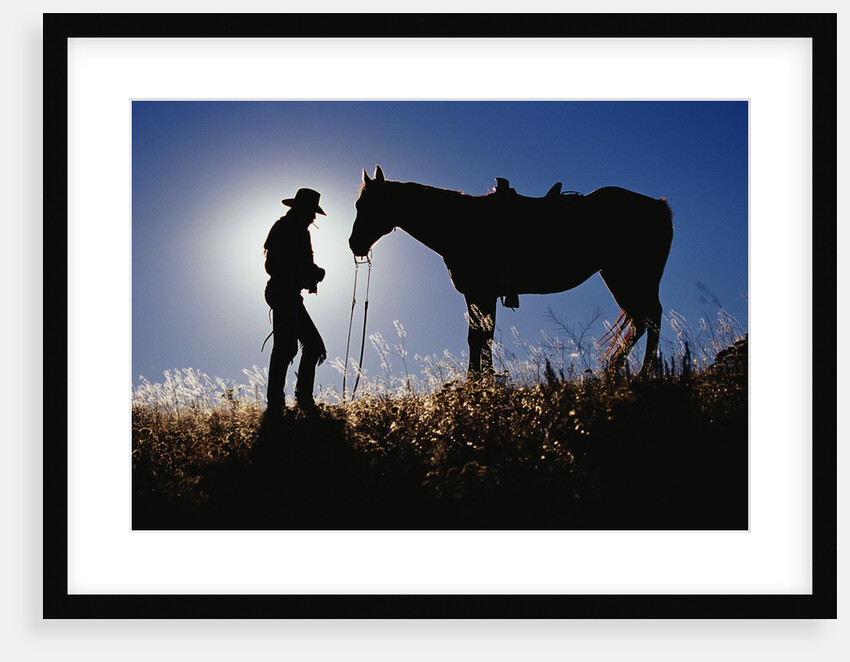 Silhouettes of Cowboy and Horse by Anonymous