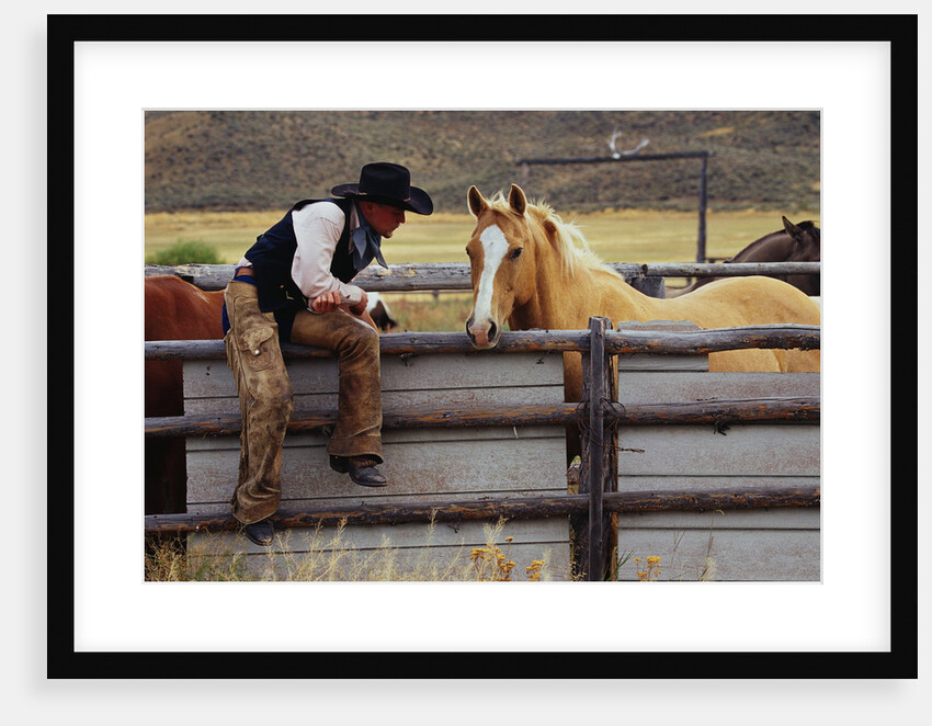 Cowboy and Horses by Anonymous