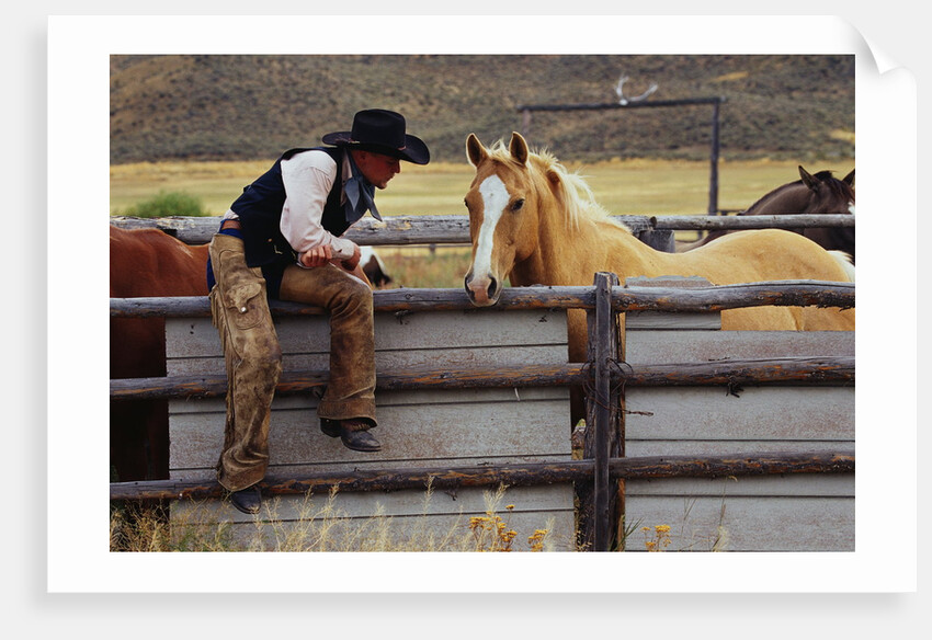Cowboy and Horses by Anonymous