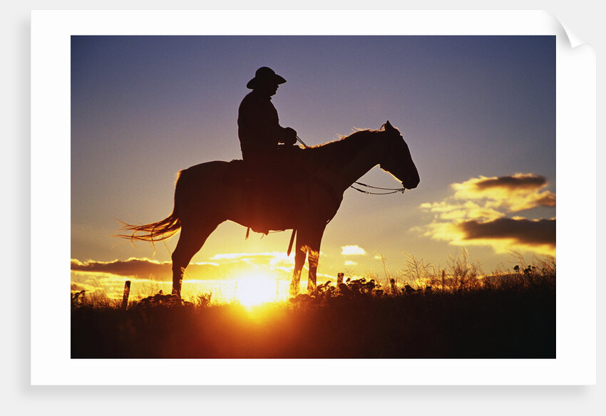 Cowboy Silhouetted at Sunset by Anonymous