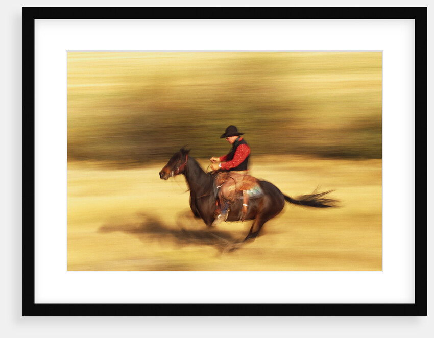 Cowboy on Galloping Horse by Anonymous