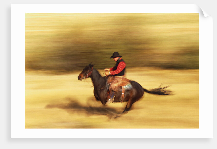 Cowboy on Galloping Horse by Anonymous