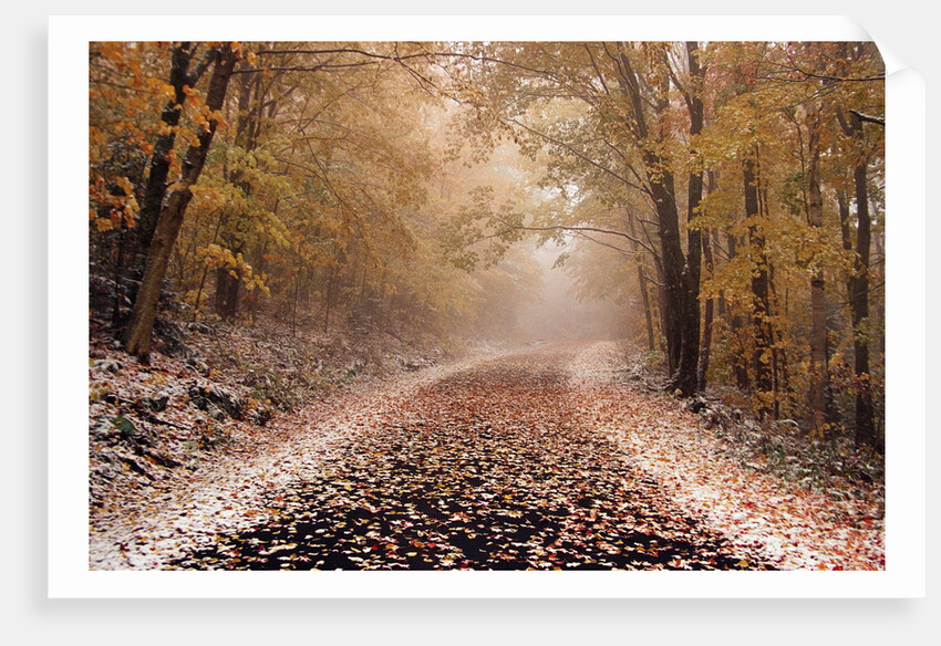 Fresh Snow on a Rural Road by Anonymous