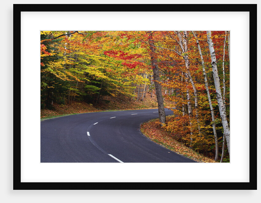 New England Road in Autumn by Anonymous