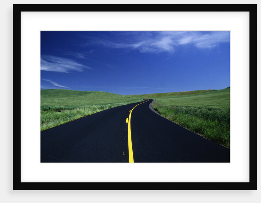 Freshly Paved Highway by Anonymous
