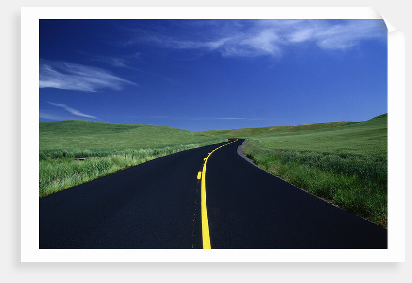 Freshly Paved Highway by Anonymous