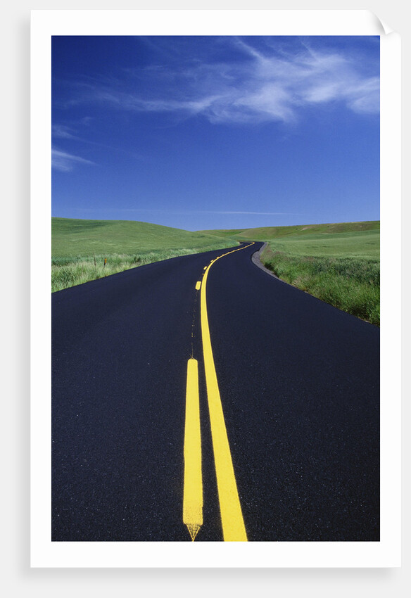 Freshly Paved Highway by Anonymous