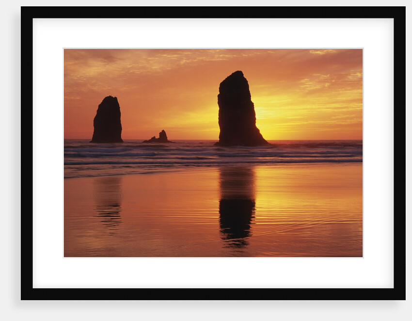 Sea Stacks at Cannon Beach by Anonymous