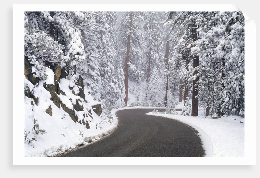 Winter Road in Yosemite National Park by Anonymous