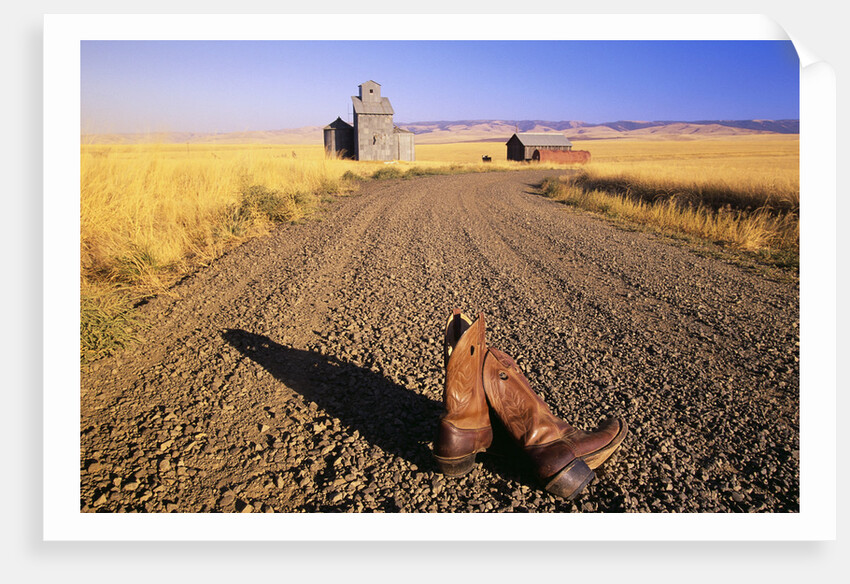 Cowboy Boots on Gravel Road by Anonymous