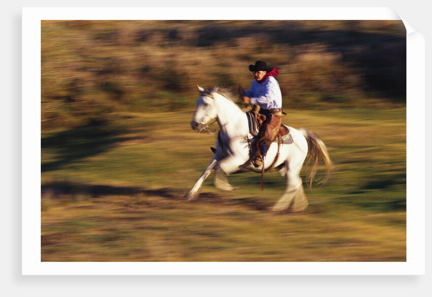 Cowboy Horseback Riding at Ponderosa Ranch by Anonymous