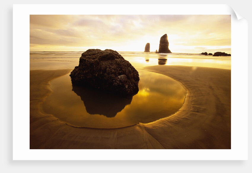 Tide Pool at Cannon Beach by Anonymous