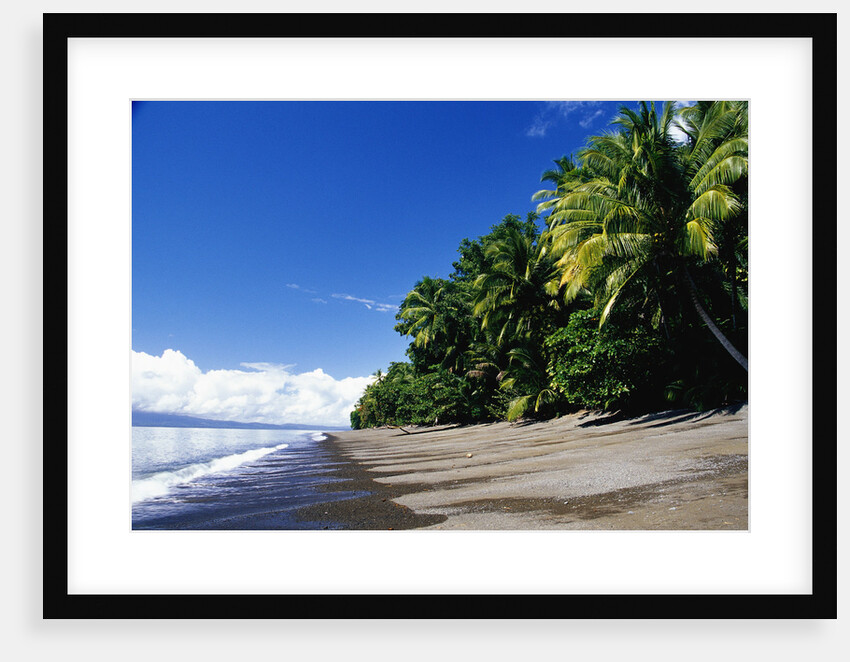 Tropical Beach on Golfo Dulce by Anonymous